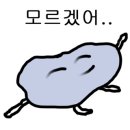 33떡볶이운정