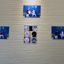 남현댕 애견미용 이미지