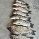 매일좌대 이미지