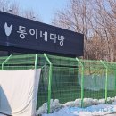 통이네다방 이미지