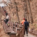 양산팔경 금강둘레길 이미지