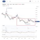 피앤씨코리아 이미지