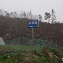 유복립 묘 이미지