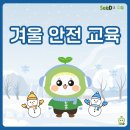 갈담초등학교 | 씨듀_ 겨울철 안전 교육 자료