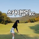 도그-in 하우스 | 스카이밸리cc 가을라운드 회원제 밸리-스카이코스 두팀으로 나갔지만 대중제코스로 간 사연