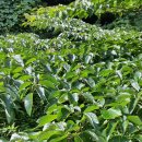 우주화공약품 이미지