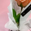 싱그러운상점