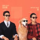 고Dog 이미지