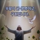 요나의 표적 이미지