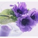 최신음악감상(연속듣기) 이미지