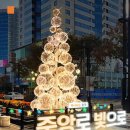 중앙로47 Daum카페
