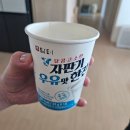 조치원낚시터 | [일상] 25 FEB④ 2025년 생일 주간
