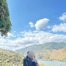 B/L농장 | 포르투갈 포르투 신혼여행, 내돈내산 한국인 도우루밸리 와이너리투어 후기(2)