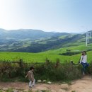 호영목장 이미지