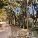 자유시장 주차장 공중화장실 이미지