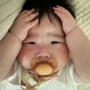 유어아일 | 돌준맘 (1) 50명 돌잔치 장소 리스트