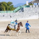 라온더마파크 | 제주 라온 더마파크 공연 부모님과 가볼만한곳