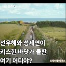 마이구룡포(my구룡포)
