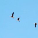 창리 버스정류장 이미지