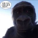 [리훈맨션] 만년형 다이어리 내돈내산 후기! 큰 사이즈 다이어리 추천!