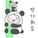 빅슬라이스 이미지