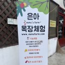 여주 은아목장, 위치 정보, 입장료 및 예약, 주차, 방문 후기