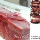 상도치 Daum카페