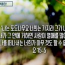 주식회사포도나무