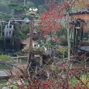 화순황토펜션 이미지