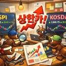 에이치엠스킨 이미지