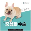 에스동물병원 이미지