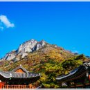 어울림편백펜션 이미지