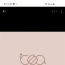 로아카롱 네이버블로그