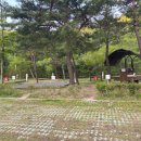 팔영산오토캠핑장 티스토리