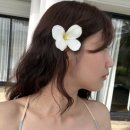 또래오래치킨피자태장점 | [베트남] 6월 나트랑 여행 ☝🏻 🌞🥭🌴