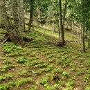 곡성군 산림과 이미지