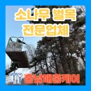 하남 소나무 벌목 전문업체