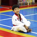 경희대 도복소리 태권도장 이미지