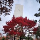 삼산공인중개사사무소 이미지