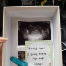 안녕,나비야!(클라란스 튼살 시리즈 추천 및 후기)