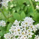 You & I motel | 작은 마을에