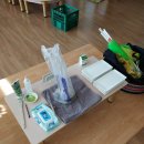 백석초등학교 병설유치원 이미지