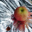 노곡리농장 이미지