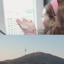 프리지아 이미지