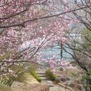 노력과행운
