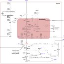 Re: 단쇄지방산(아세트산, 뷰티르산, 프로피온산) 자가면역 염증 치료 2023 nature 이미지