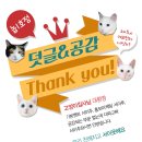 헤어큐(Q)미용실 이미지