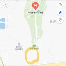 두곡목장 | 충남에도 불꽃축제가 ?! 아산 '피나클랜드 불꽃축제' 후기! (축제연장한대요 팔로미)