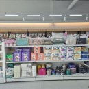 광주강아지분양 애견만세 이미지