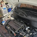 스팀코리아 이미지